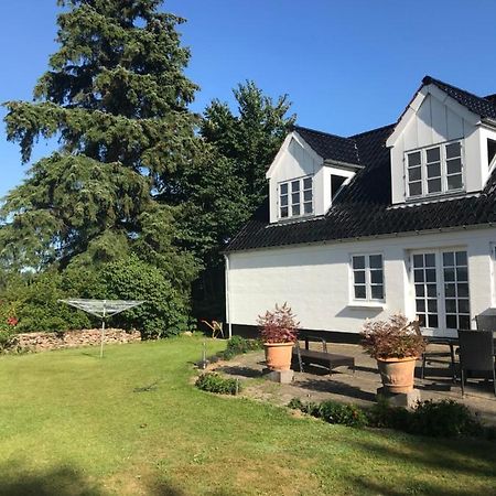 Pedersholt Bed & Breakfast Dybvad Kültér fotó
