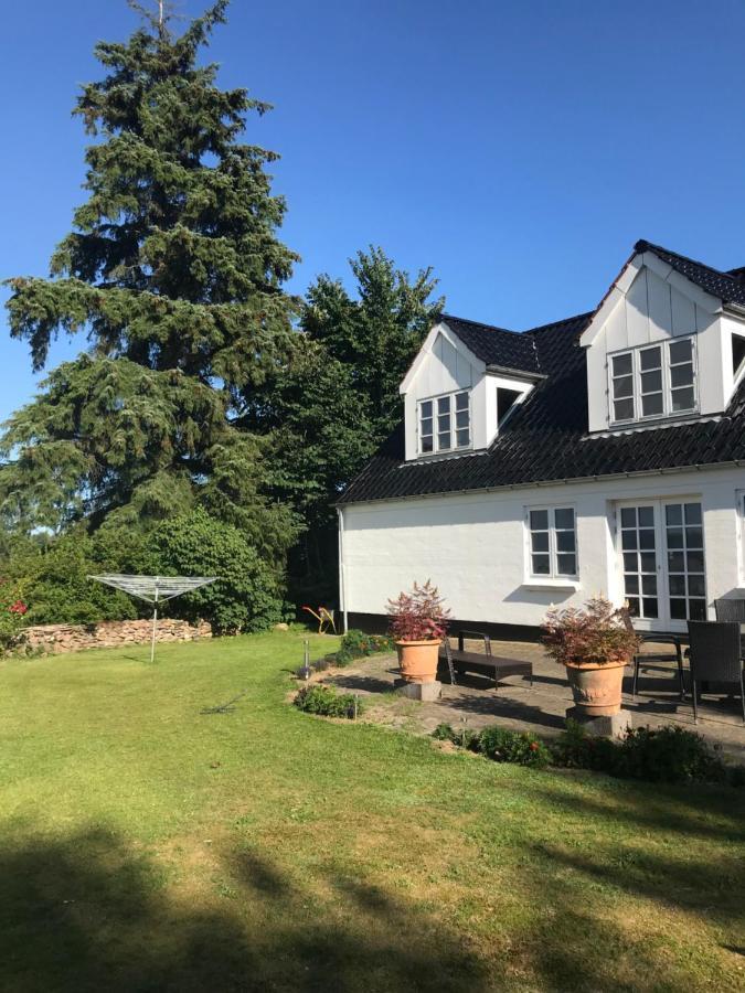 Pedersholt Bed & Breakfast Dybvad Kültér fotó